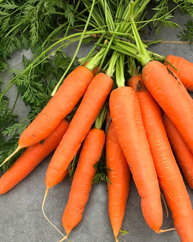 Carrots