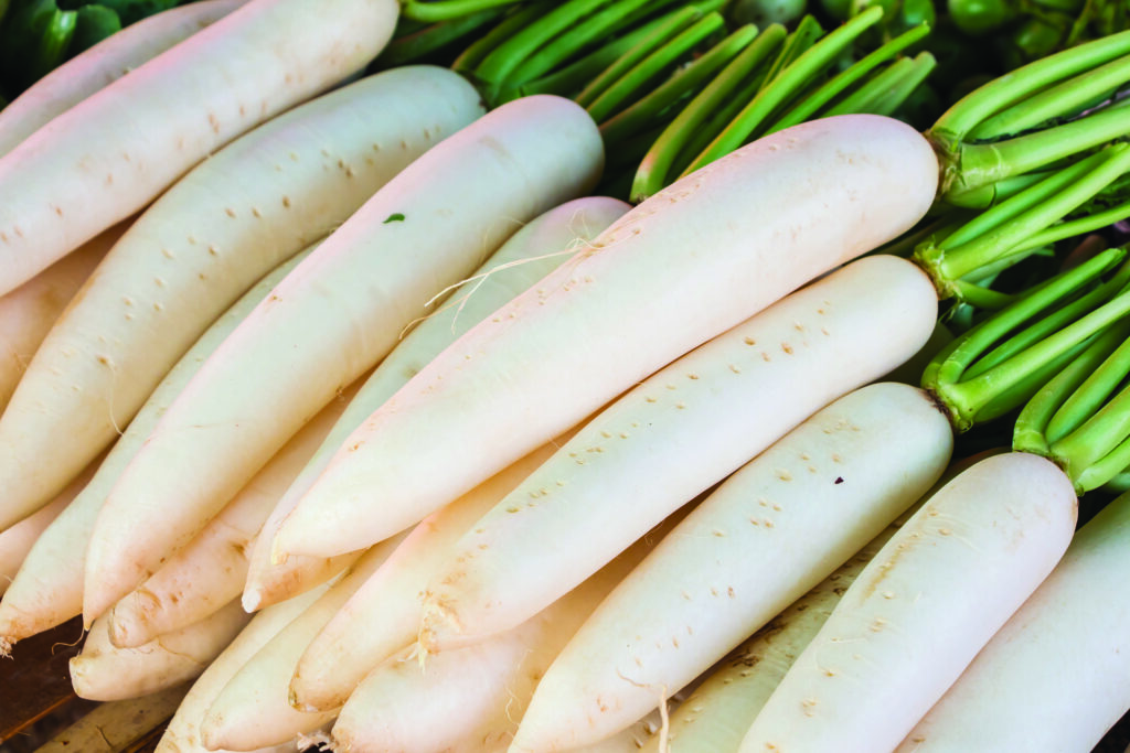 Radish